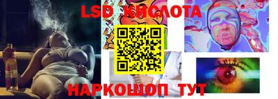ГАЛЛЮЦИНОГЕННЫЕ ГРИБЫ Кингисепп