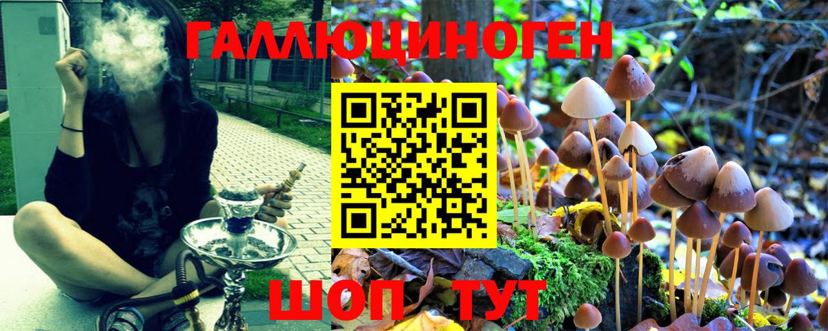 Кировск  Галлюциногенные грибы ЛСД  купить закладку  Вход с VPN 