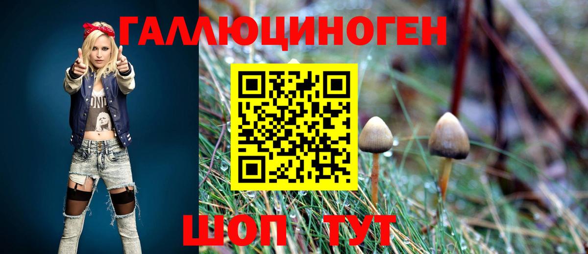 Галлюциногенные грибы прущие грибы Кировск